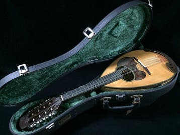 Suzuki - Model M-30 - - Mandoline - Japon - 1970 (Sans prix, Musique & Instruments