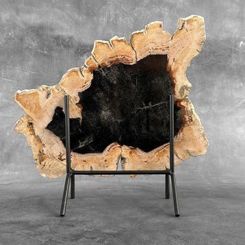 Prachtige plak versteend hout op een op maat gemaakte