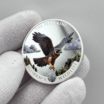 Congo. 20 Francs 2024 – Peregrine Falcon (Wanderfalke) – 1, Postzegels en Munten