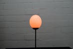 Ostrich Egg lamp Taxidermie wandmontage - Struthio camelus -, Nieuw