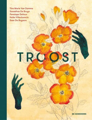 Troost | Tine Marie Damme | Nieuw, Boeken, Verzenden, Nieuw, Tine Marie Damme