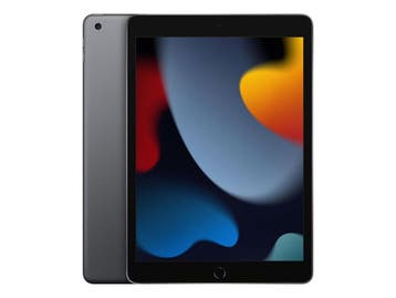 Apple iPad 9 (2021, A13 series) - Spacegrijs - 256 GB - WiFi, Verzenden