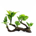 Kunstplanten op hout OS-225 - aquarium decoratie, Dieren en Toebehoren, Ophalen of Verzenden, Nieuw