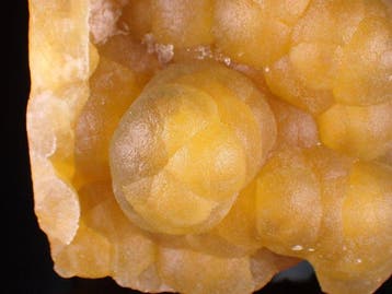 Fluorite fluorescente botryoïdale Cristaux sur matrice -