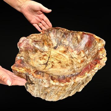 21 kg - Monumentale bol van natuurlijk versteend hout uit