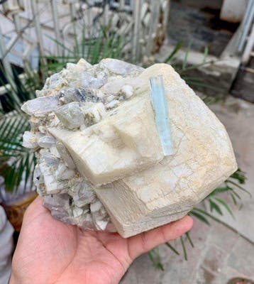 Taille de cabinet : cristaux naturels d’aquamarine, bouquet