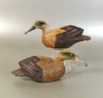 Appelant canard - lokvogel, watervogel (2) - Bois