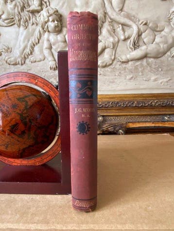 J. G. Wood - Common Objects Of The Microscope. {with 12