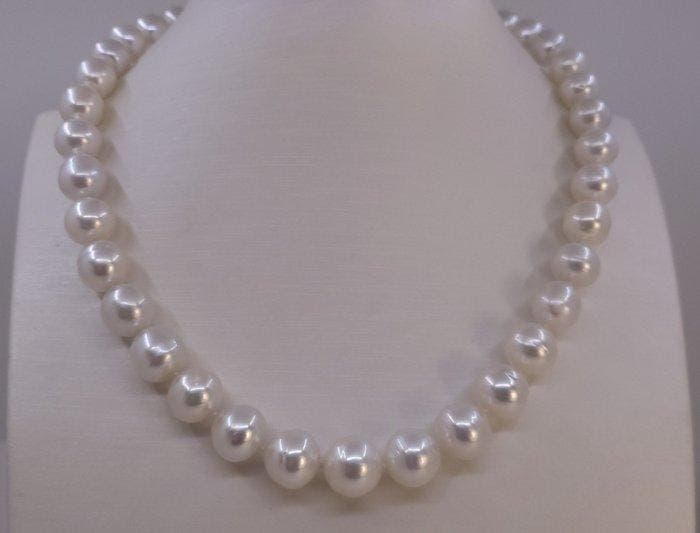 Sans prix de réserve - Collier - 14 carats Or blanc, Perles, Bijoux, Sacs & Beauté, Colliers
