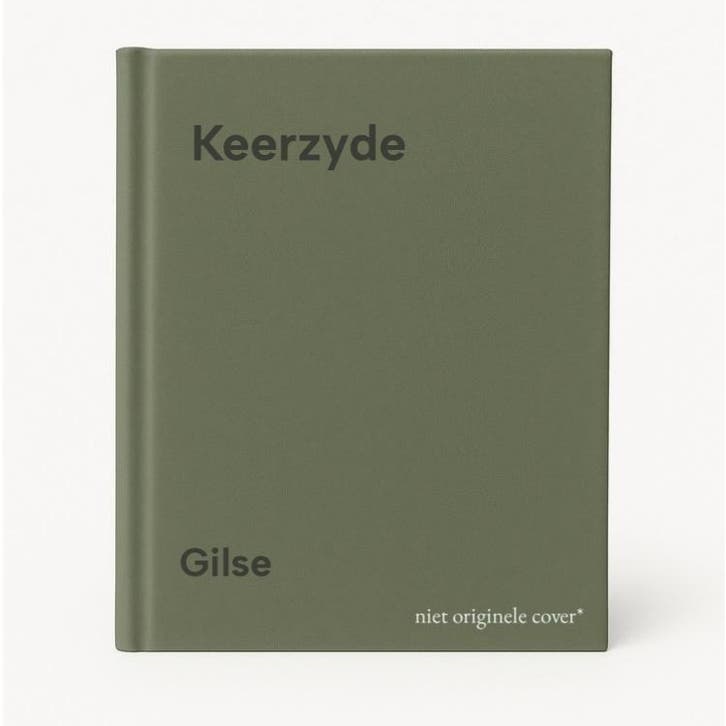 Keerzyde 9789061843108 Gilse, Livres, Science, Envoi