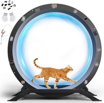 Katten loopwiel - Looprad voor kat - Kattenwiel - Zwart - GT, Verzenden, Nieuw