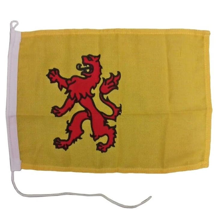 Vlag Zuid Holland 20 x 30cm, Watersport en Boten, Bootonderdelen, Nieuw, Ophalen of Verzenden