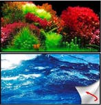Osaka achterwandposter Ocean/Ruby (Achterwandposters), Ophalen of Verzenden, Nieuw