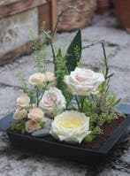 Oasis® terrabrick™ floral media 11,43x11,45x5 cm 8 pcs voor