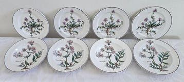 Villeroy & Boch - Bord (8) - Porselein - 8 x bord Botanica