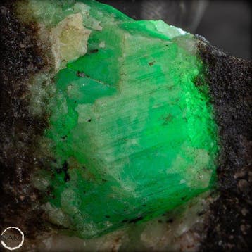 Natuurlijke smaragdkristal op matrix - 193,10 ct- 38.62 g