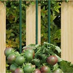 vidaXL Plantenstaken 30 st 115 cm staal groen, Verzenden