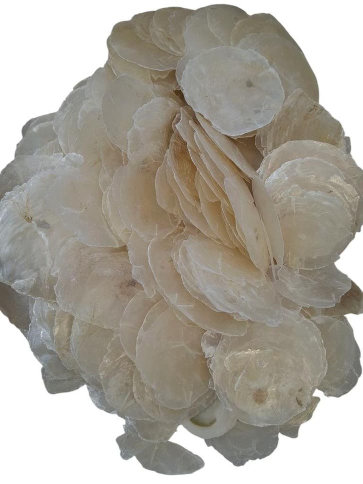 Capiz Camar schelpen 1 kilo, Hobby & Loisirs créatifs, Bricolage