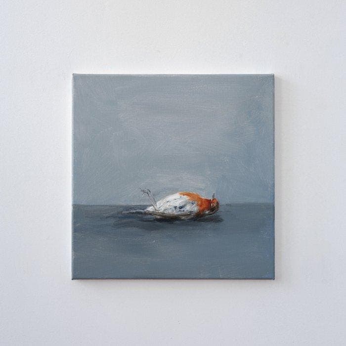 Matthieu van Riel - Dead Robin, Antiek en Kunst, Kunst | Schilderijen | Modern