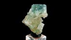 helderblauwe fluoriet met kwarts - Barlet-mijn, Langeac,, Verzamelen, Mineralen en Fossielen