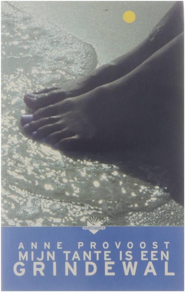 Mijn tante is een grindewal 9789034512871 Anne Provoost, Boeken, Kinderboeken | Jeugd | 13 jaar en ouder, Gelezen, Verzenden