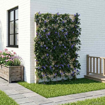 vidaXL Trellis met Spike PP Wit, Verzenden