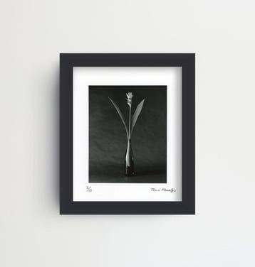 Tenmi Hanagi - FLEURISME-curcuma - gelatin silver print