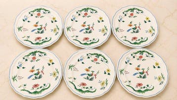 Manufacture de Gien - RARE 6 Très Grandes assiettes Plats