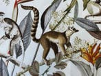 Lemurenjungle: een botanisch avontuur tussen takken en