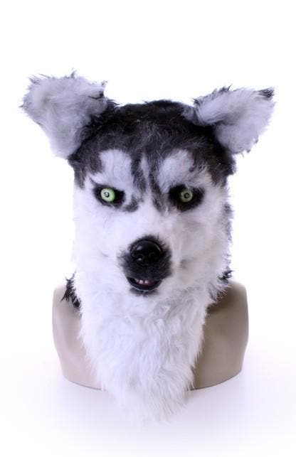KIMU® Masker Wolf Husky Lichtgevende Ogen en Bewegende Mond, Vêtements | Hommes, Costumes de carnaval & Vêtements de fête, Enlèvement ou Envoi