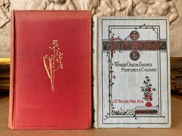 J. E. Taylor - Sowerby. - W.S. Furneaux - Flowers their