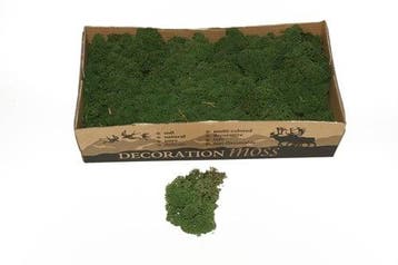Rendiermos IJslandsmos Finlandsmos Mosgroen 2700–3000 gram, Nieuw