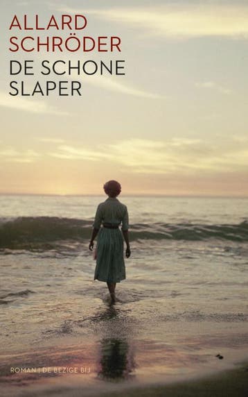 De schone slaper 9789023449706 Allard Schröder, Boeken, Verzenden, Zo goed als nieuw, Allard Schröder