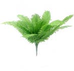 Varen Boston Fern Bush Groen Botanical Style 53 cm, Nieuw