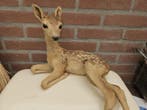 Ree jong Taxidermie volledige montage - Capreolus capreolus