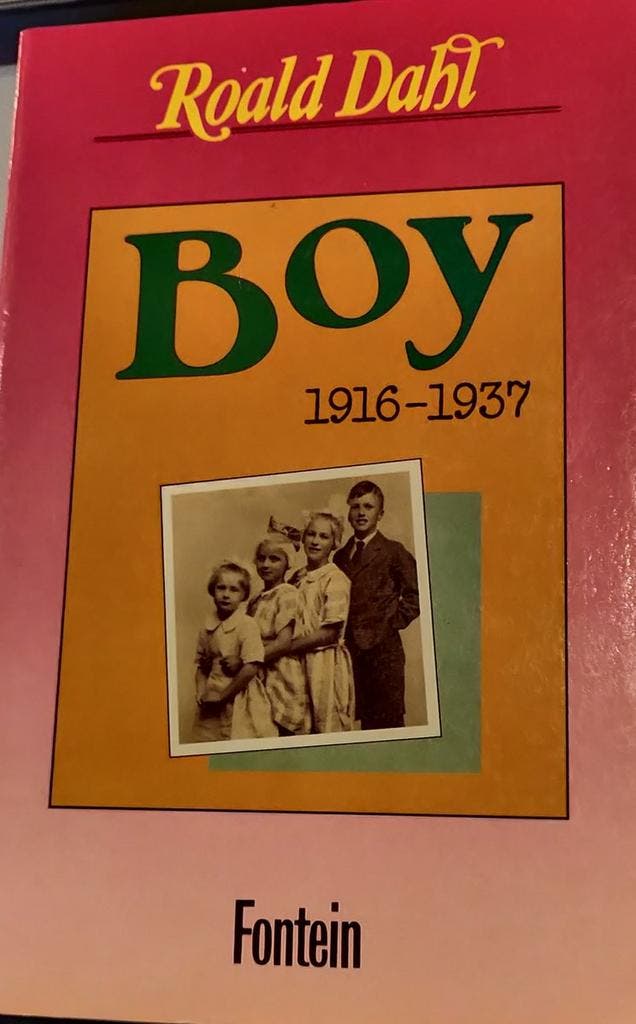 Boy jeugdverhalen 9789026105104 Roald Dahl, Boeken, Overige Boeken, Gelezen, Verzenden