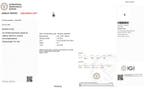 Zonder minimumprijs - Hanger - 14 karaat Witgoud - 0.81ct.