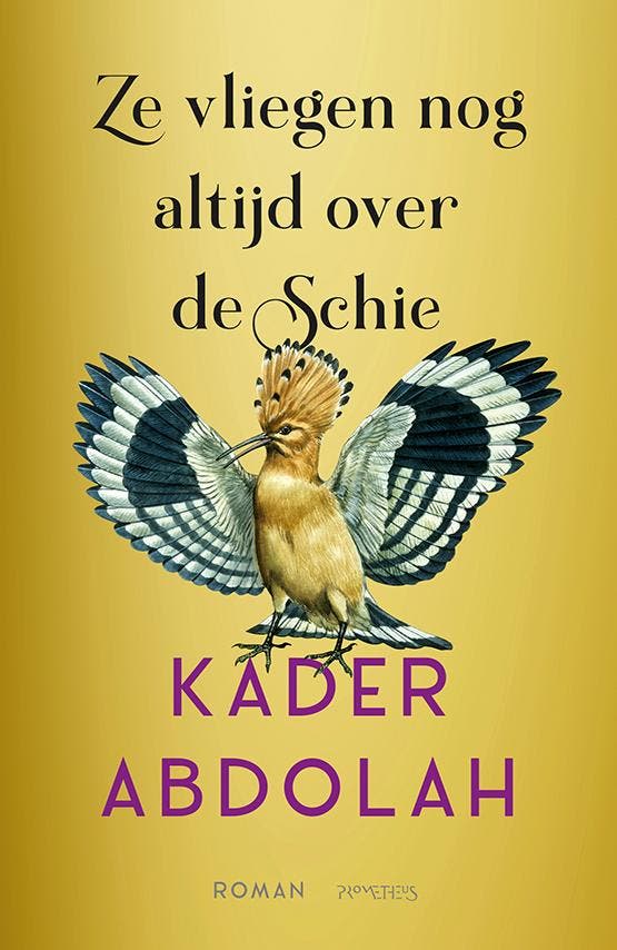 Ze Vliegen Nog Altijd Over De Schie | Kader Abdolah | Nieuw, Livres, Livres Autre, Envoi