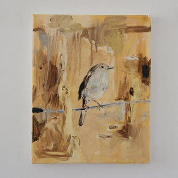 Matthieu van Riel - Bird