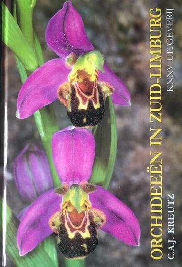 Orchideeen in zuid-limburg 9789050110297 Kreutz, Verzenden, Gelezen, Kreutz
