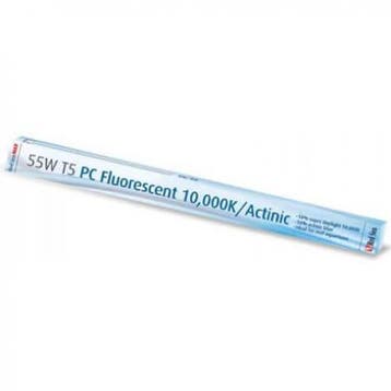 Red Sea Max 130 PL lamp 55w - 10.000K + Actinic blauw licht, Animaux & Accessoires, Poissons | Aquariums & Accessoires, Verzenden