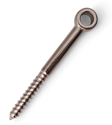 Rvs Schroefoog 8x80mm Rvs, Verzenden