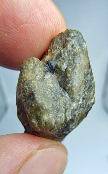 Diogenite. Ain Ben Tili 007. Achondrite HED, - 10.24 g - (1), Verzamelen