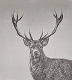 Tapisserie Jacquard en alpaga « Cerf majestueux » Montagne -