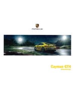2016 PORSCHE CAYMAN GT4 INSTRUCTIEBOEKJE NEDERLANDS, Ophalen of Verzenden