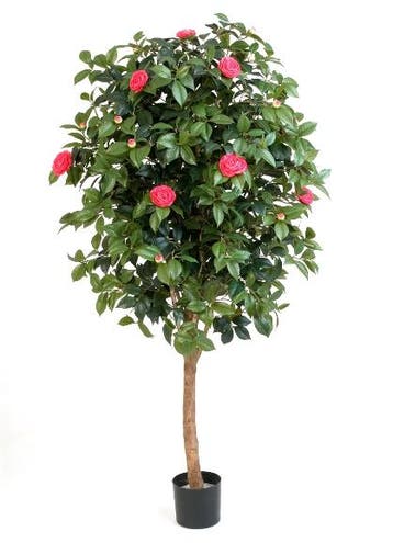Kunstplant Camelia Roze 170 cm, Verzenden