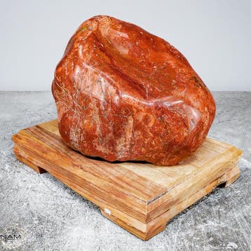 Grote AAA++ Natuurlijk Zeer artistiek Fire Jasper, Verzamelen