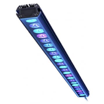 Reef Factory Reef Flare Bar L - 120 cm, Verzenden