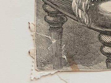 Scuola Francese XIX secolo - satira zoomorfa