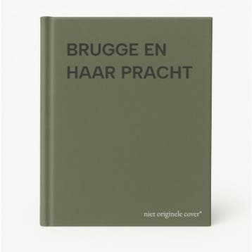 BRUGGE EN HAAR PRACHT 5425007011210, Boeken, Verzenden, Gelezen